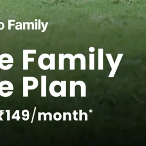 One Year Plan